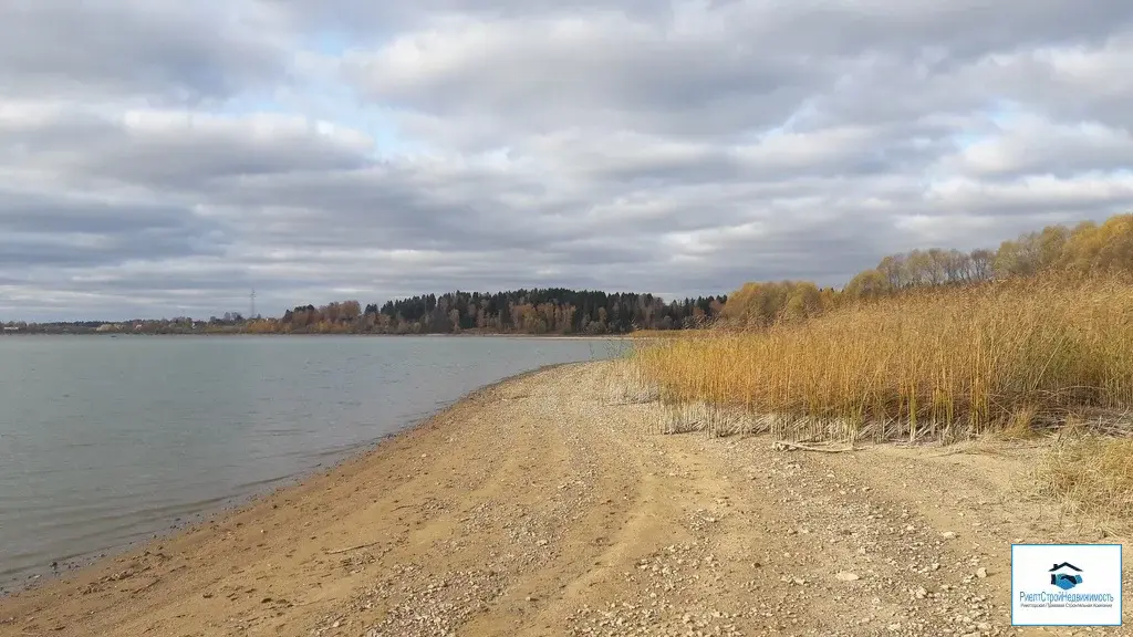 Участки рузское водохранилище. Хотебцево Озернинское водохранилище. Сосновый Бор Озернинское водохранилище. Деревня Корчманово фото. Деревни рядом с Рузским водохранилищем.