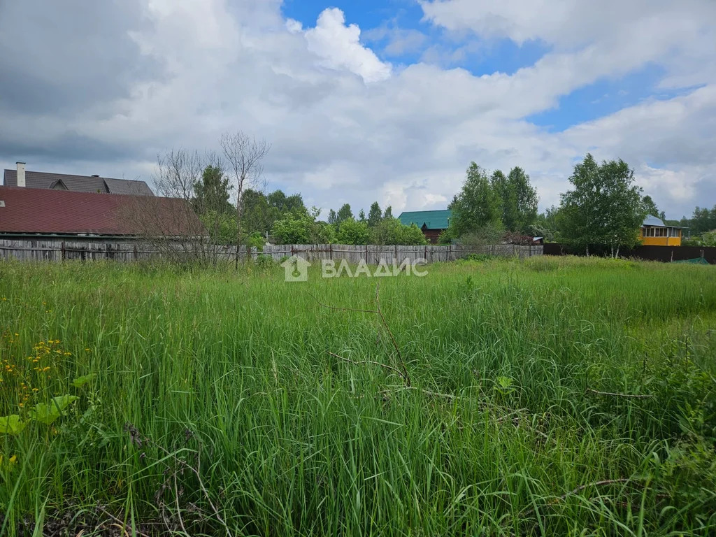 городской округ Клин, деревня Елино,  земля на продажу - Фото 1