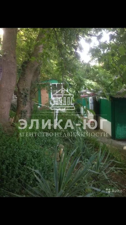 Продажа готового бизнеса, Джубга, Туапсинский район, ул. Борохова - Фото 9