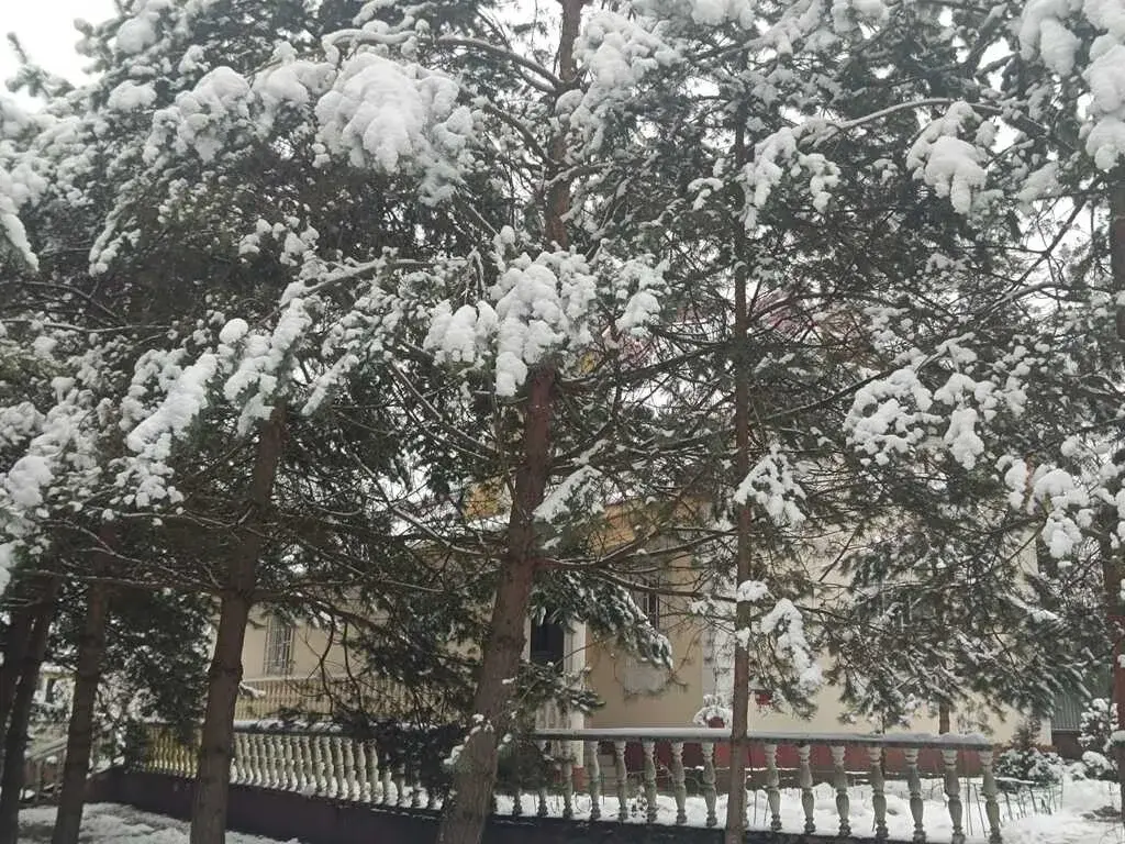 усадьба со своим озером - Фото 5