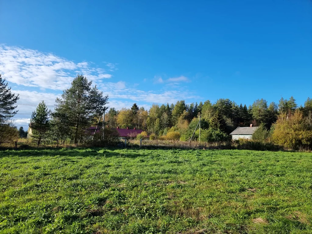 Продажа участка, Солнечное, Приозерский район - Фото 15