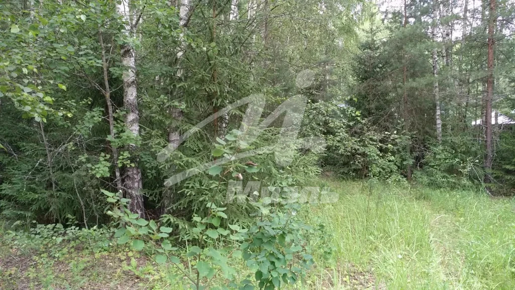 Продажа участка, Наро-Фоминск, Наро-Фоминский район, 114 - Фото 5