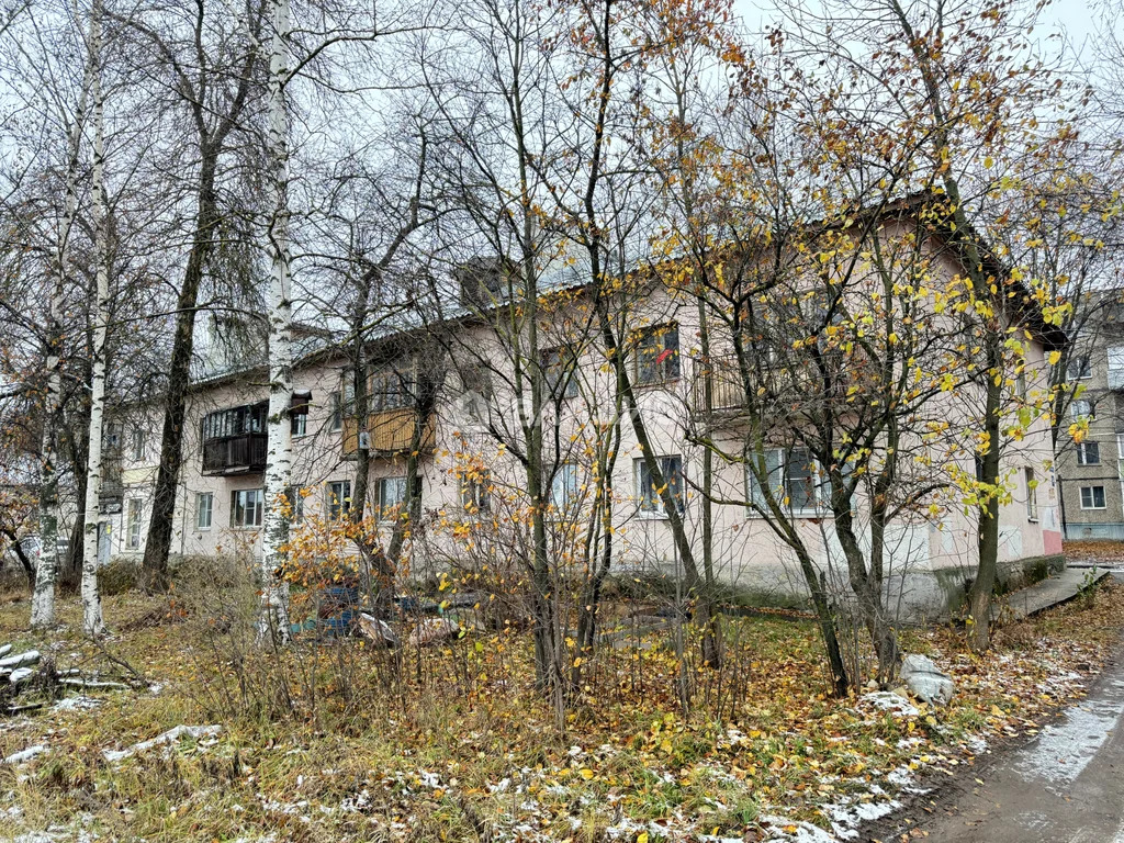 городской округ Владимир, улица Лакина, д.175, 2-комнатная квартира на ... - Фото 24