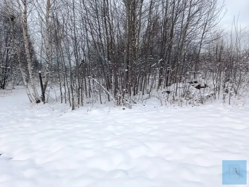 6 соток в д. Гигирево, СНТ Надежда - Фото 3