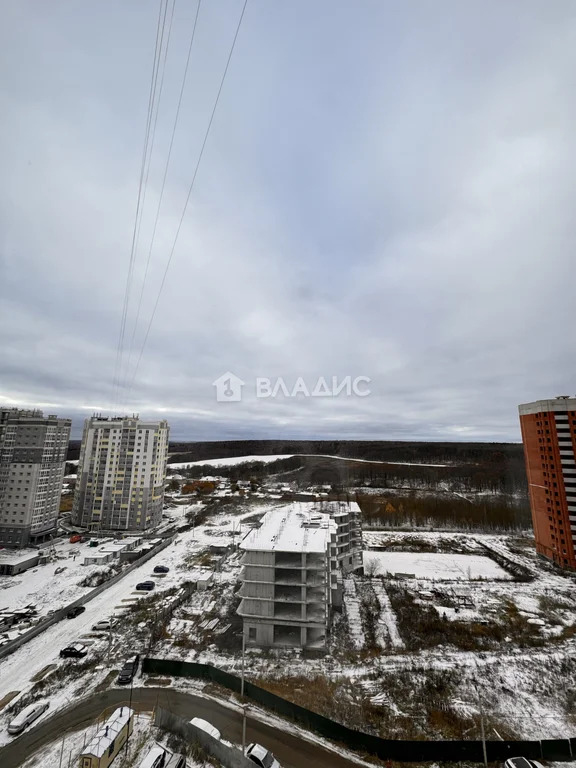 городской округ Владимир, улица Нижняя Дуброва, д.52к1, 1-комнатная ... - Фото 32