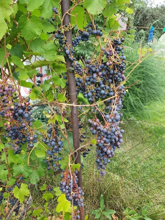 Продажа дома, Новосибирск - Фото 4
