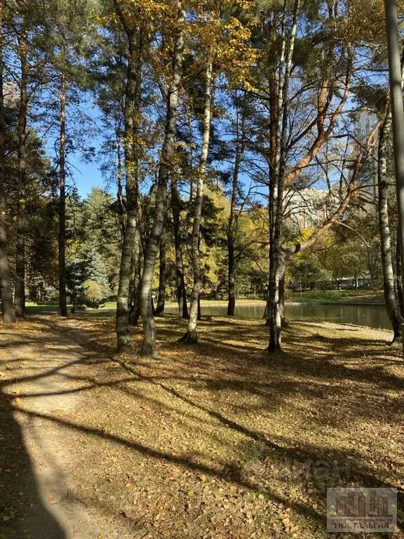 Сдам однокомнатную квартиру 62.0м - Фото 1