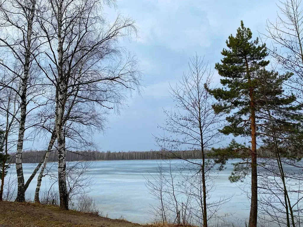 Дом в дереве Горки - Фото 34