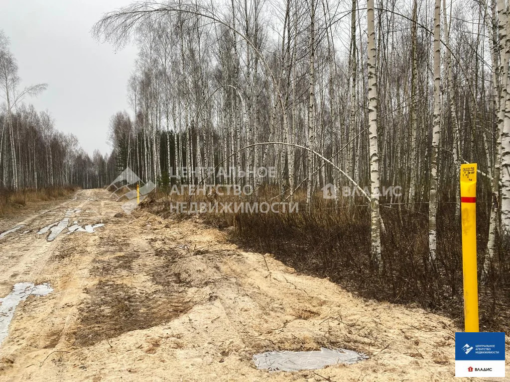 Продажа участка, Ярустово, Спасский район, ул. Лесная - Фото 13