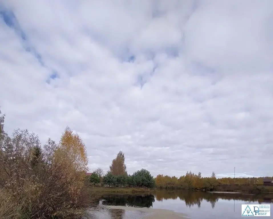 Погода бубново раменский