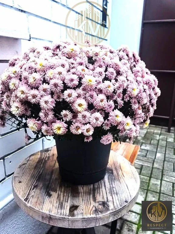 Аренда квартиры, Пятигорск, Калинина пр-кт. - Фото 1
