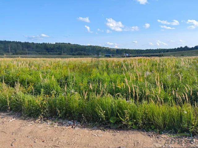 Продажа участка, Дмитров, Дмитровский район, Медведково д. - Фото 14