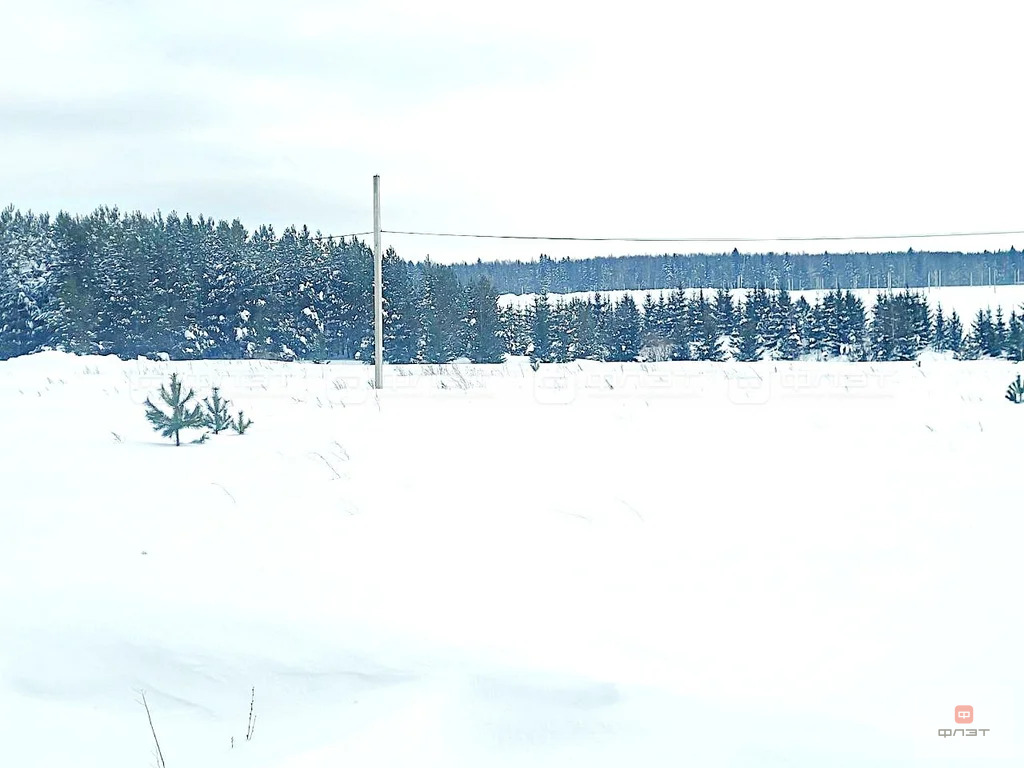 Продажа дома, Шемордан, Сабинский район, ул. Родниковая - Фото 20