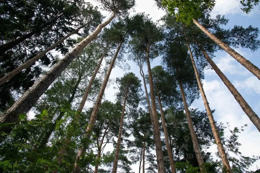 Купить дом 300.0м Московская область, Раменский муниципальный округ, . - Фото 4
