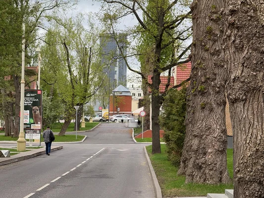Продам однокомнатную (1-комн.) квартиру, Серебрякова проезд, 11к2, ... - Фото 30