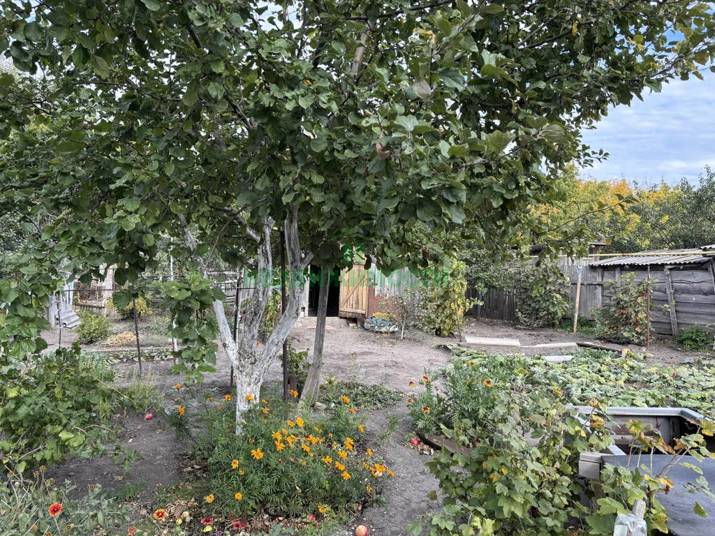 Продажа дома, Вольск, ул. Орджоникидзе - Фото 15