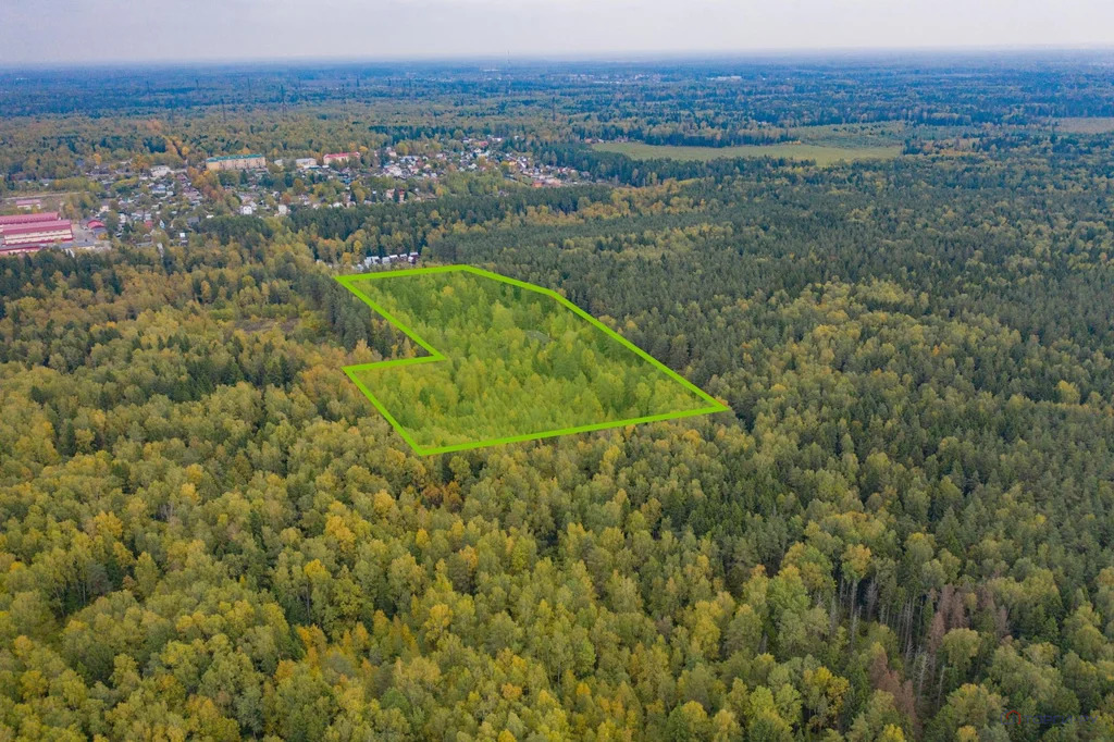 Продажа земельного участка, Лесной - Фото 5