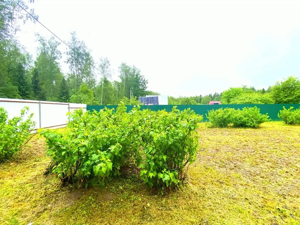 Дача в СНТ Мир - Фото 13