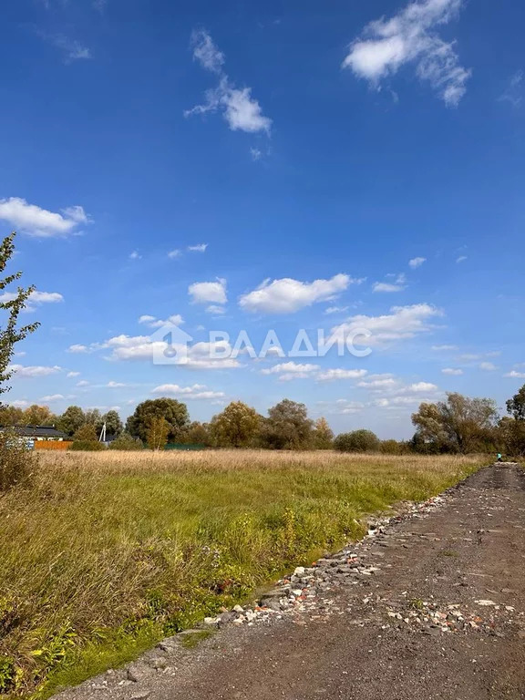 Ленинский городской округ, село Остров, Преображенская улица,  земля ... - Фото 3