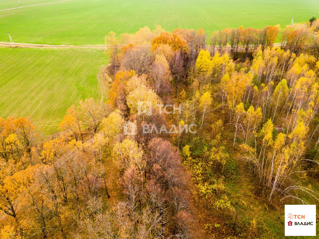 городской округ Щёлково, деревня Каблуково,  земля на продажу - Фото 9