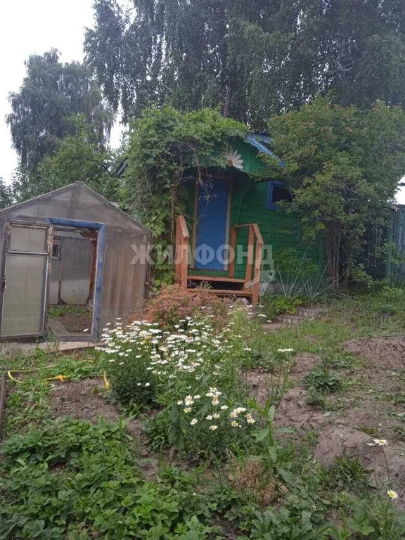 Продажа дома, Новосибирск - Фото 8