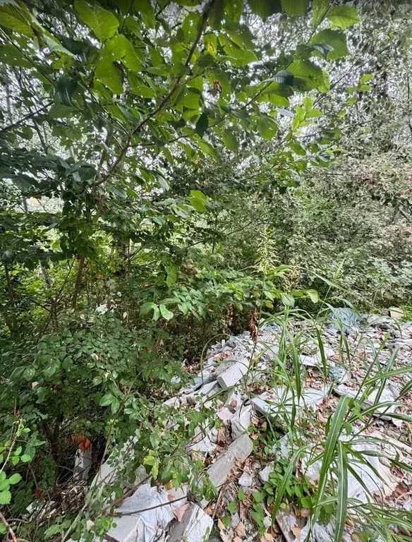 Продажа участка, Сочи, ул. Санаторная - Фото 3