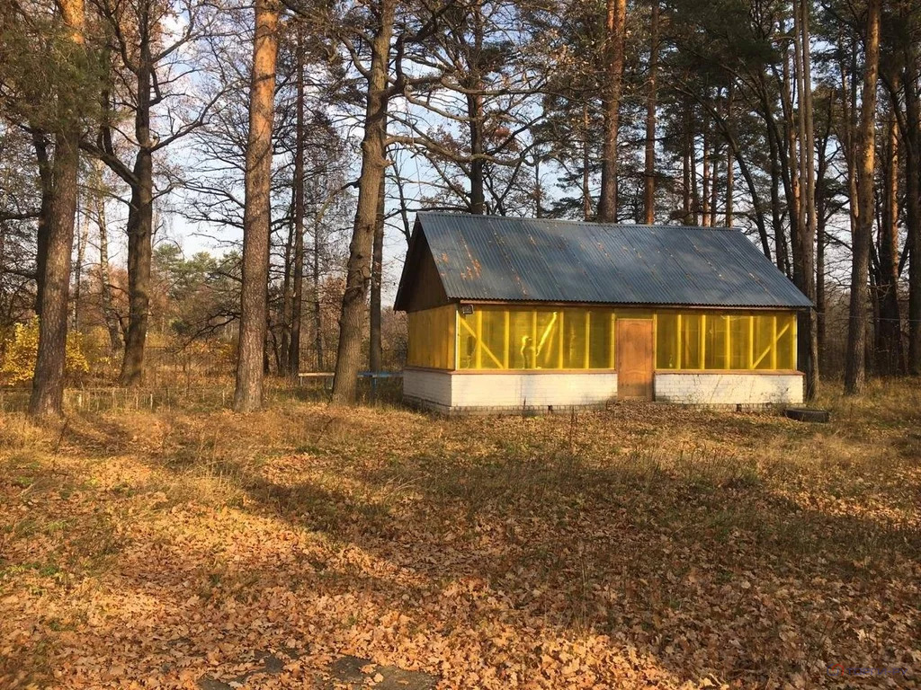 Продажа готового бизнеса, Орехово-Зуевский район, Загородный детский . - Фото 0