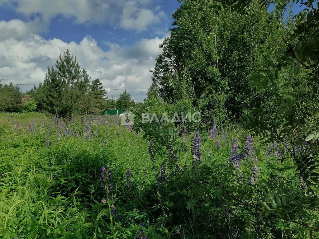 городской округ Владимир, Владимир, Октябрьский район, Селецкая улица, ... - Фото 11