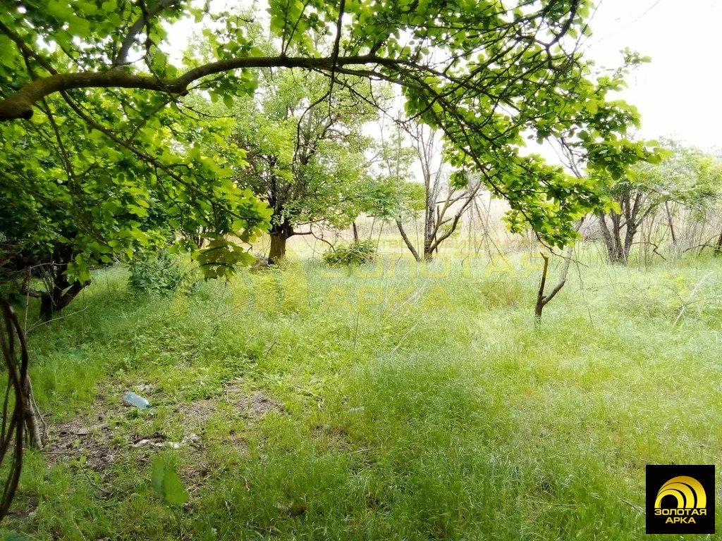 Продажа участка, Вышестеблиевская, Темрюкский район, ул. Кооперативная - Фото 5