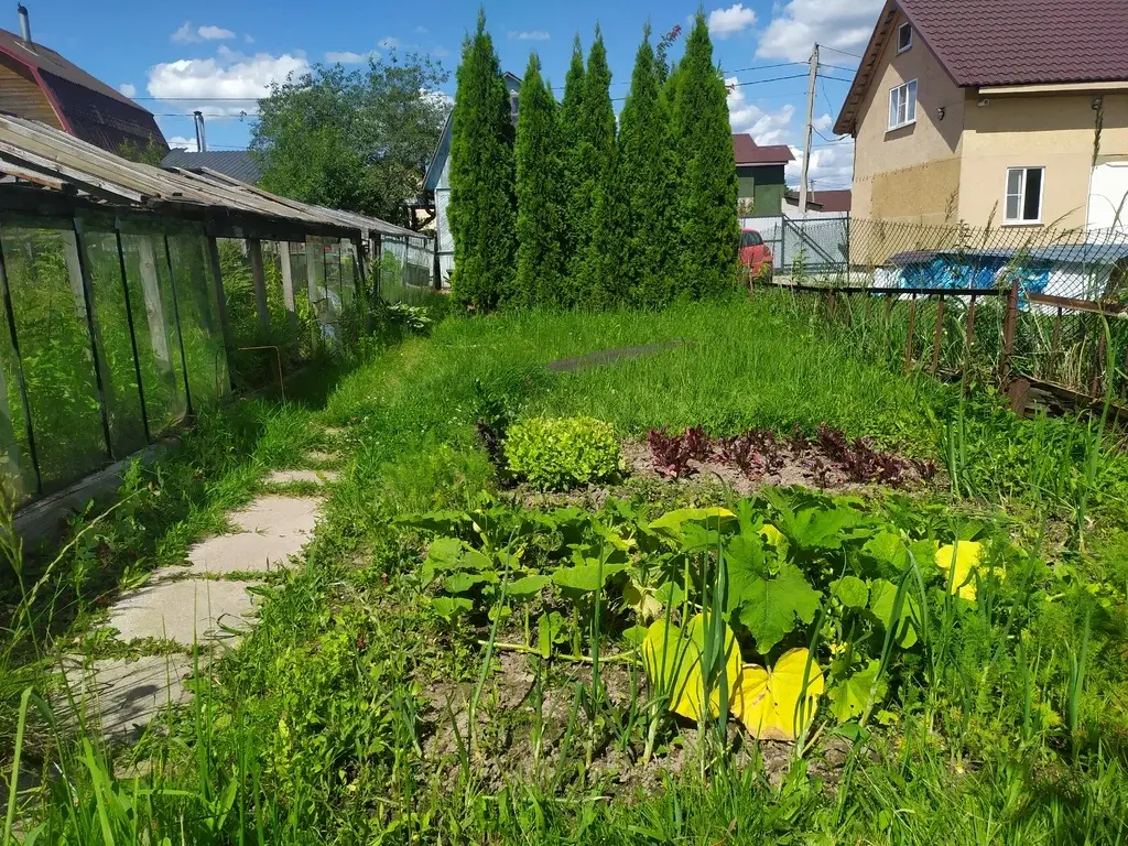 Земельный участок с домиком СНТ Березка - Фото 13