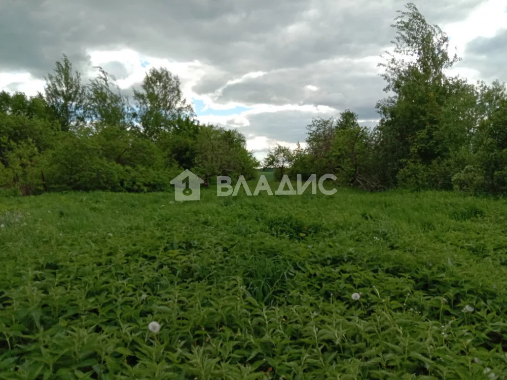 Суздальский район, село Обращиха, дом на продажу - Фото 4