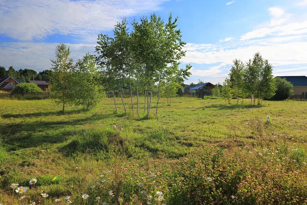 Долгиниха. Инженерные коммуникации в доме. Одинцовский район деревня каринское коттеджный поселок. Шульгино на рублёвке. Поселок каринское звенигород.