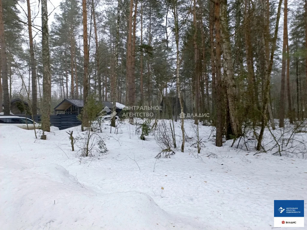 Продажа участка, Рязанский район, садоводческое товарищество Лесной - Фото 2
