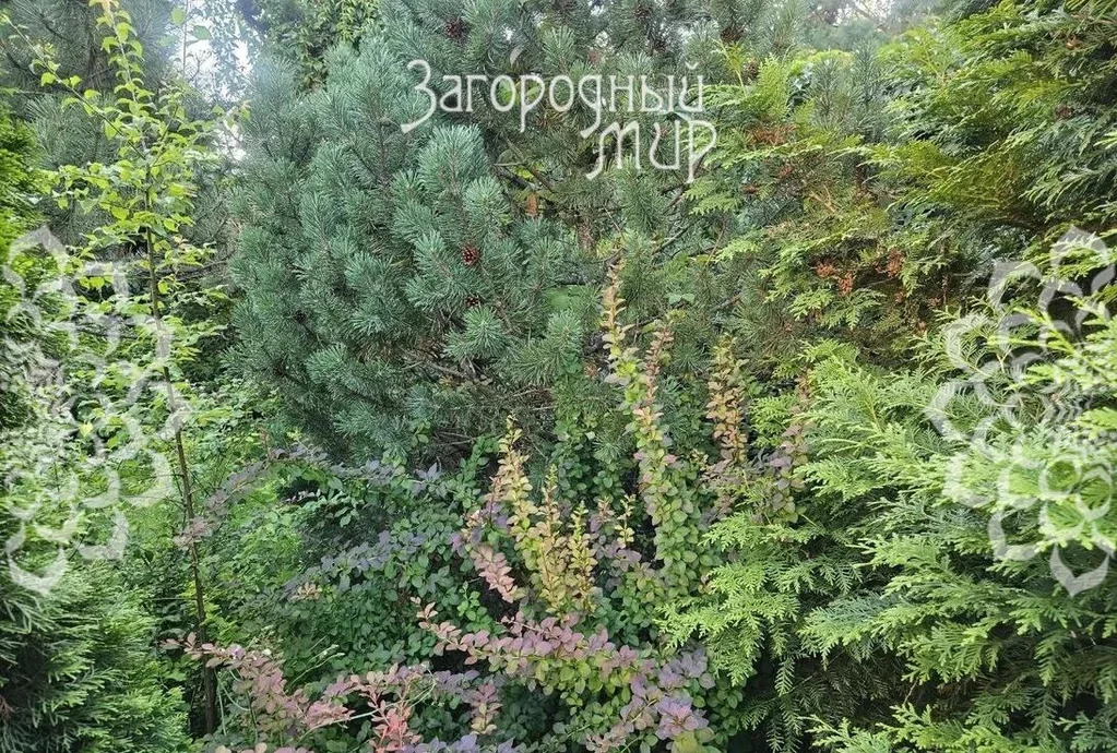 Продам дом, Ленинградское шоссе, 30 км от МКАД - Фото 35
