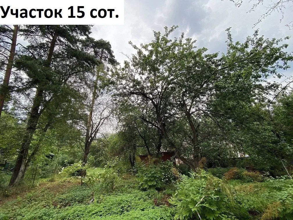 Продажа участка 15.0 сот. ул. Фурманова, 19, Мытищи, Московская ... - Фото 3