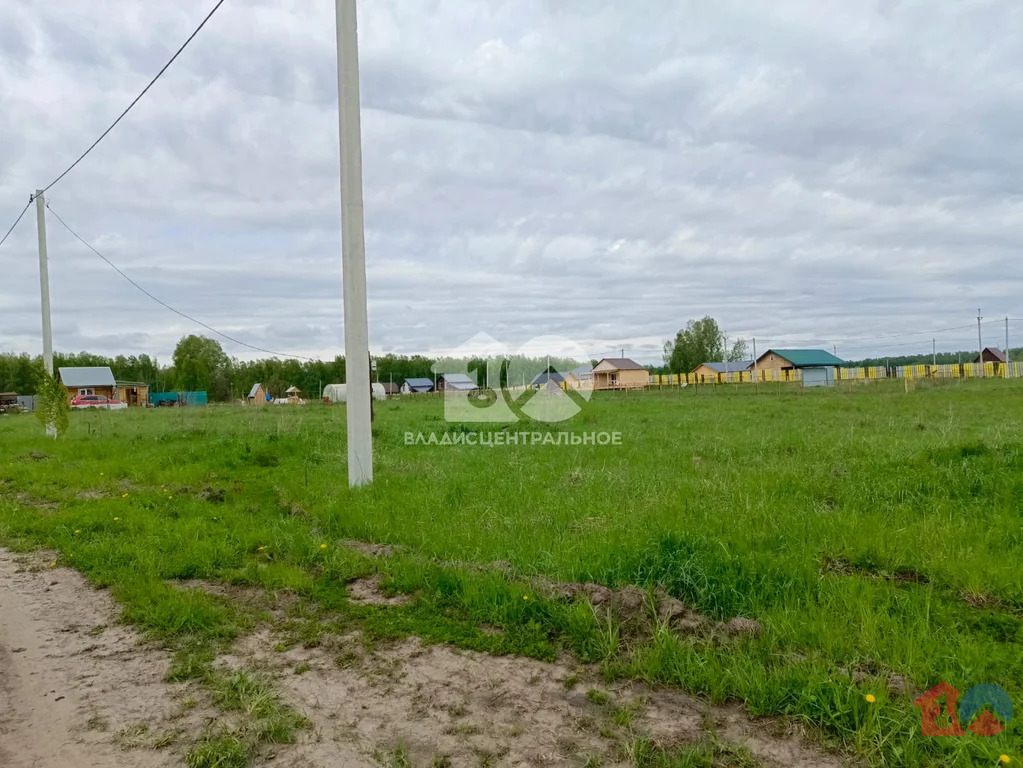 Новосибирский район, село Плотниково, улица Мира,  земля на продажу - Фото 5