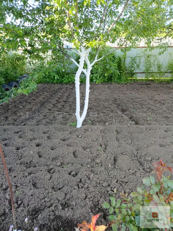 Продажа дома, СДТ Овощник-2, Высокогорский район, 7-я аллея - Фото 17