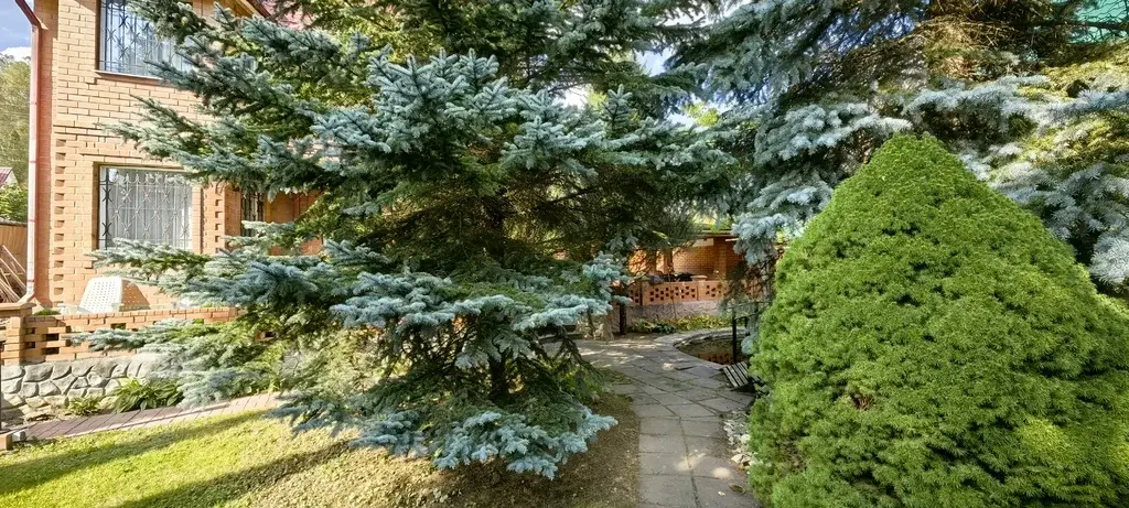 Дом. СНТ Мещерино-Чурилково, ул.Лесная , д.42 - Фото 49