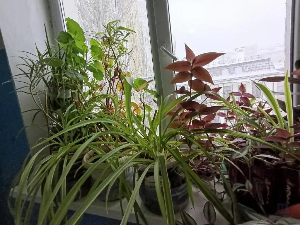 Продаю 2 к квартиру в самом центре Ростова-на-Дону Чехова Суворова - Фото 12