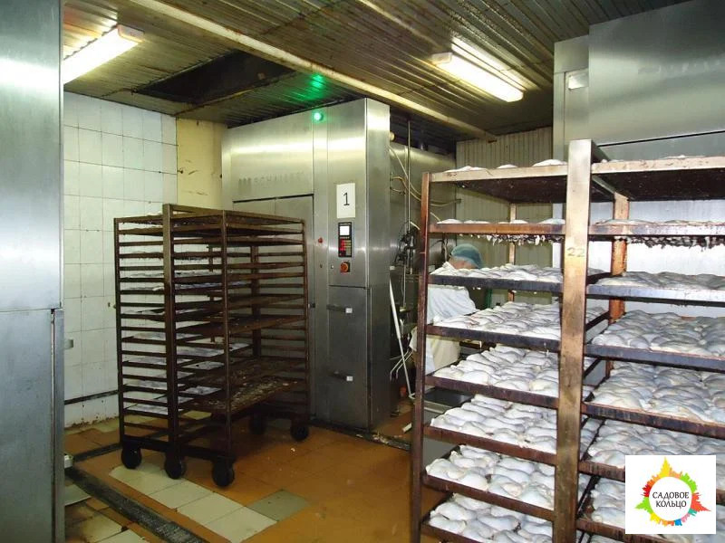 Сдается действующий, оснащенный мясоперерабатывающий завод - Фото 2