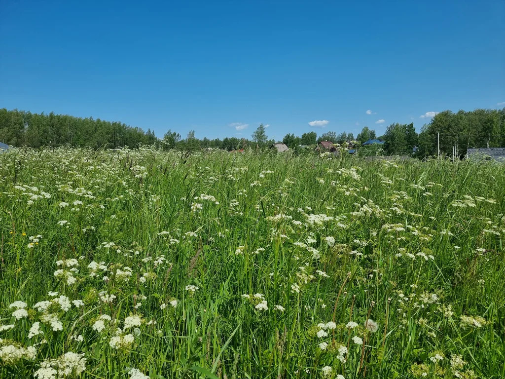 Продажа участка, Хязельки, Всеволожский район - Фото 15