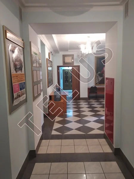 м. Свиблово, ул. Летчика Бабушкина, 572 м2, Арендный Бизнес (ном. ... - Фото 12