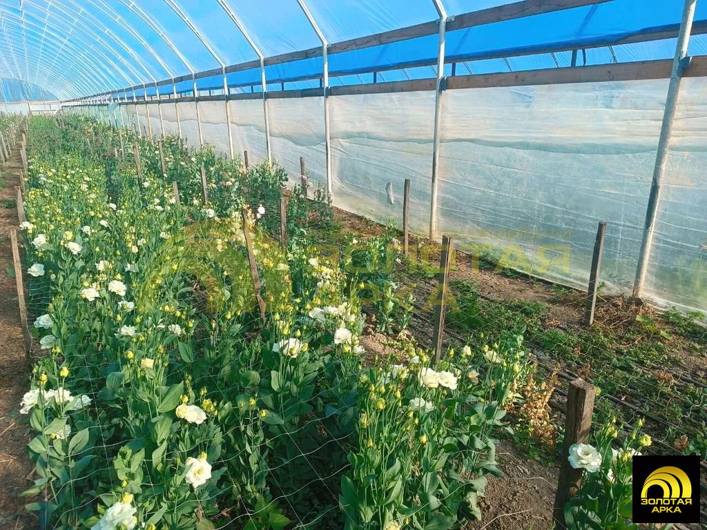 Продажа готового бизнеса, Краснооктябрьский, Абинский район, ул. ... - Фото 8