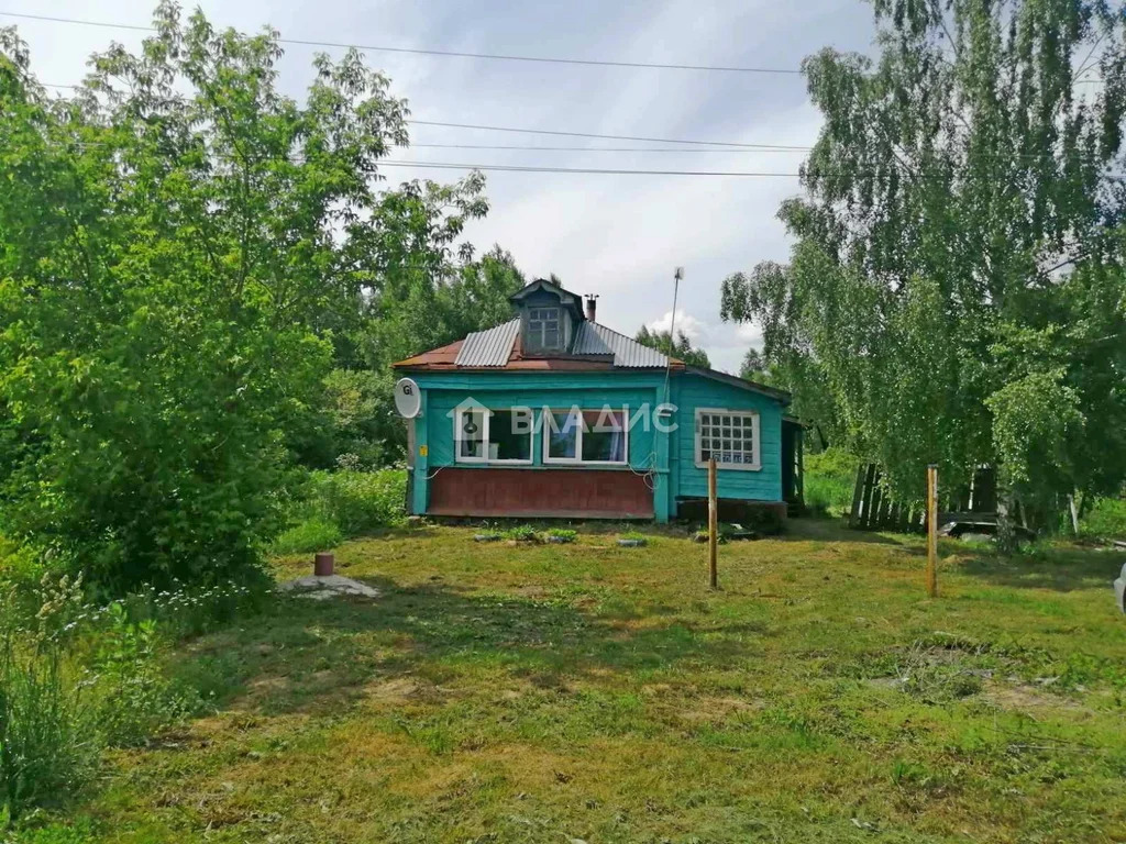 Камешковский район, село Лаптево, Луговая улица,  дом на продажу - Фото 1