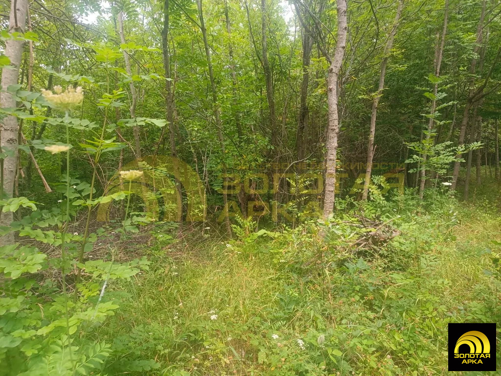 Продажа участка, Чибий, Северский район - Фото 19