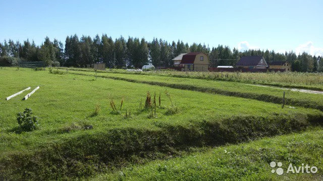 Купить Участок Песчаное Новгородский Район