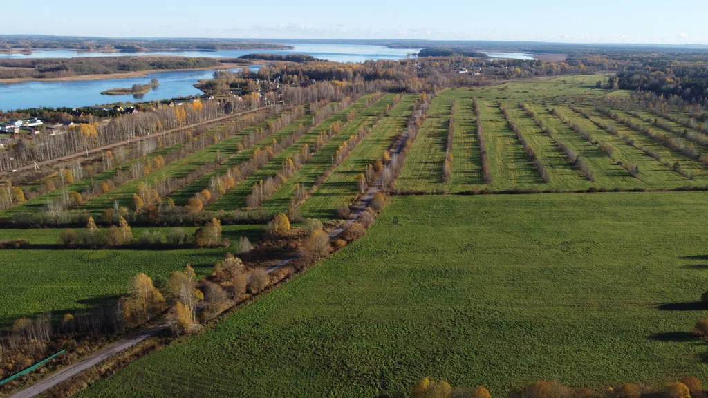 Продажа участка, Барышево, Выборгский район - Фото 4