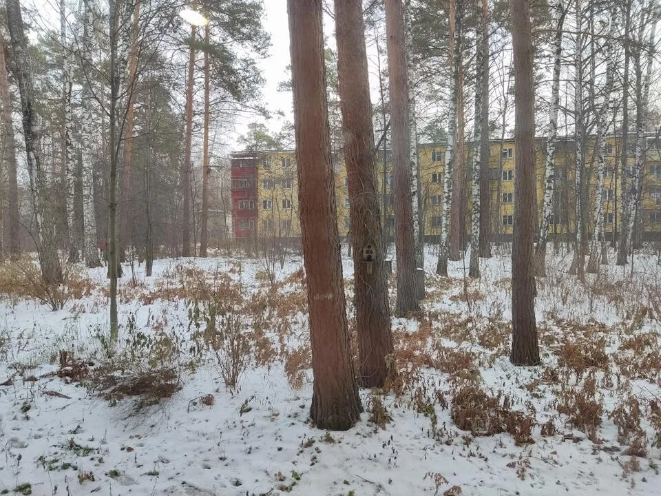 Продажа квартиры, Новосибирск, ул. Жемчужная - Фото 3