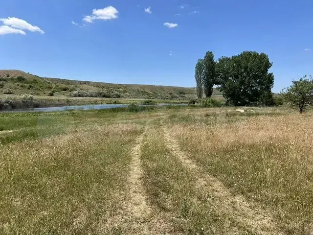 Участок 22.05 га в Крыму – плодородная земля для сельского хозяйства! - Фото 2
