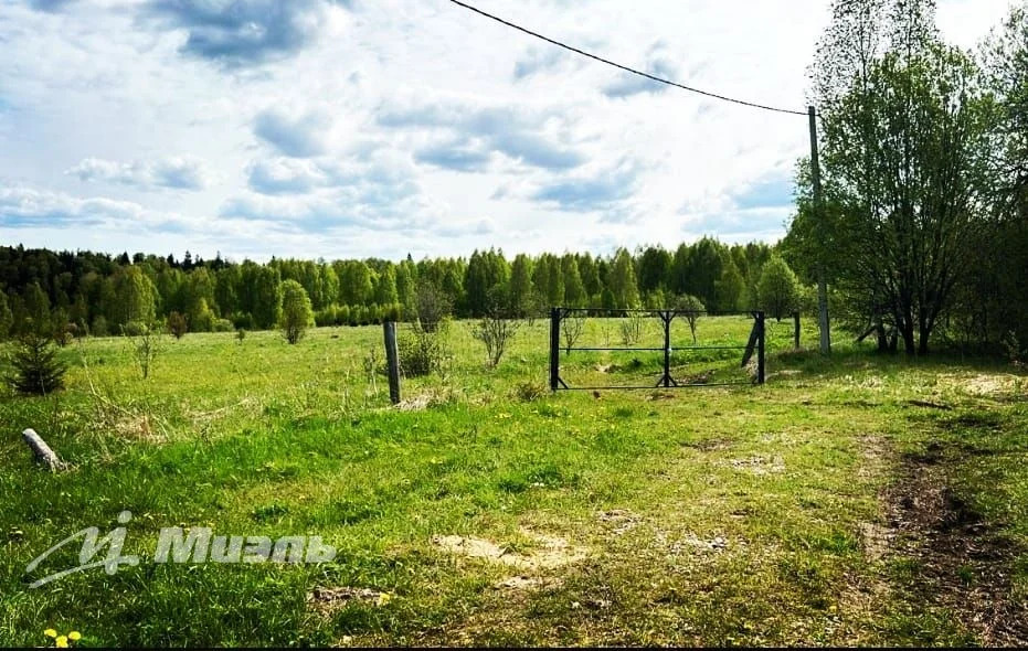 Объект 553859 - Фото 6
